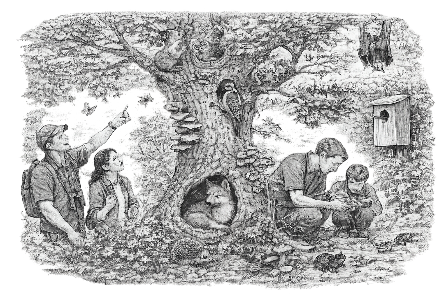 AS17 | Les arbres et leurs hôtes