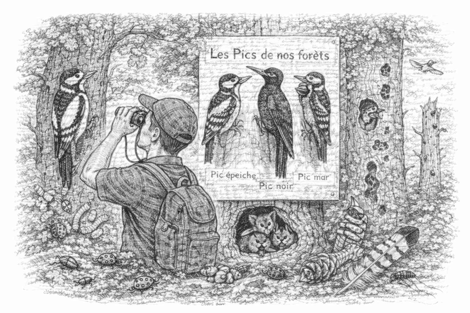 Les pics de nos forêts