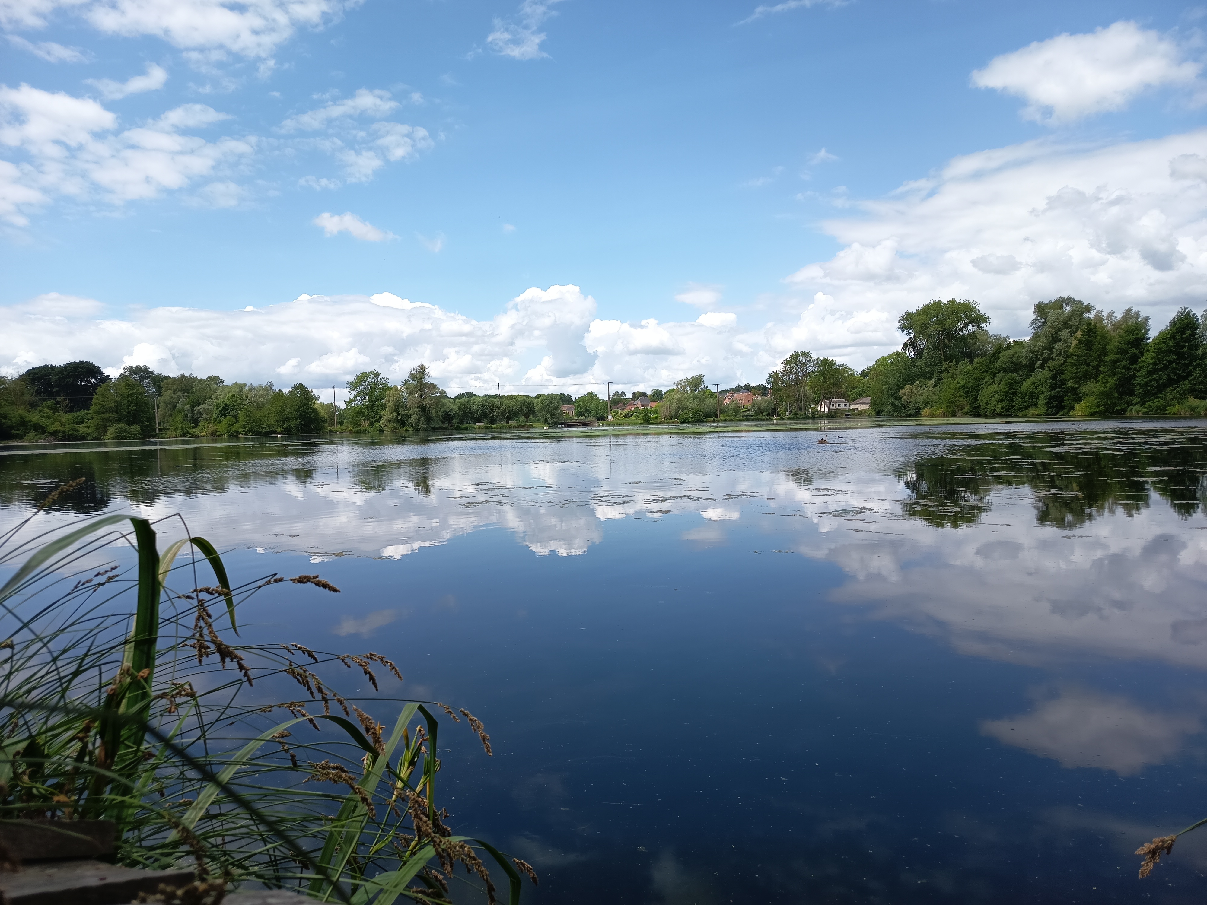 Discovering the Birds of the Cléry-sur-Somme Ponds
