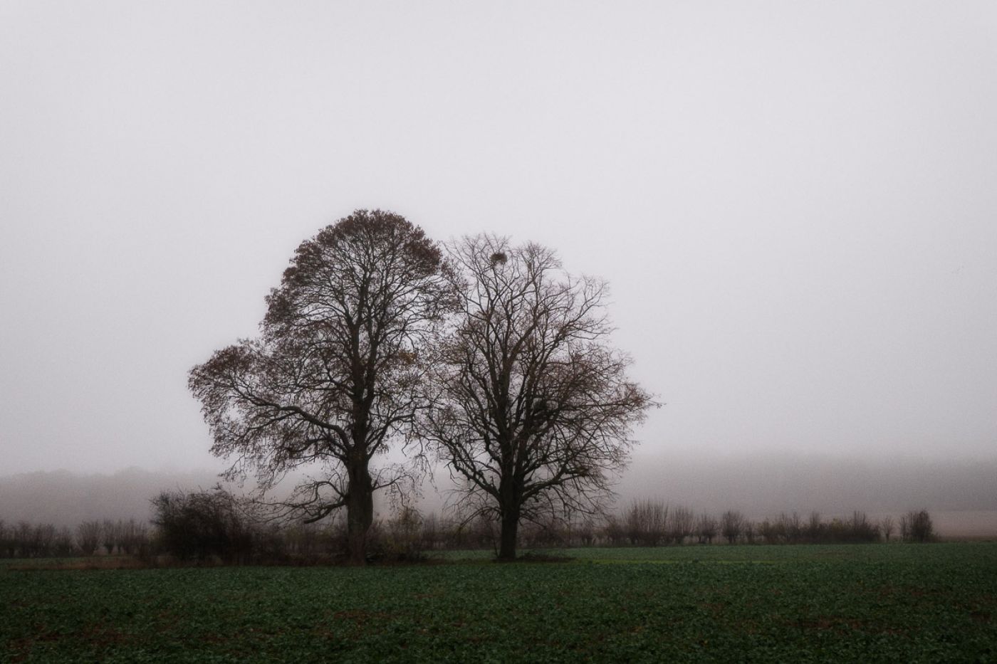 Ambiance hivernale brumeuse en Pays de Valois