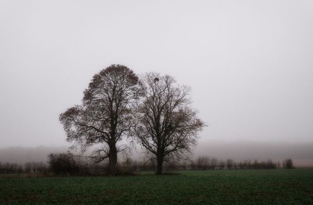 Ambiance hivernale brumeuse en Valois